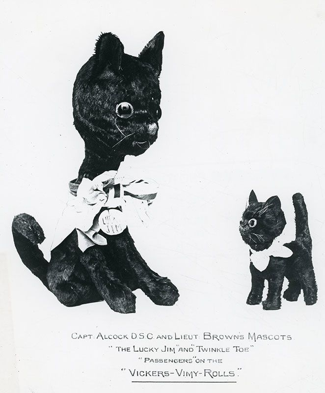 Advert featuring two soft toy black cats, one sat and one stood on all fours