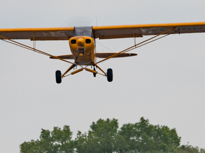 Fly In Banner