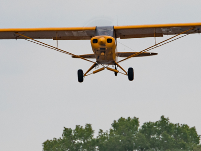 Fly In Banner