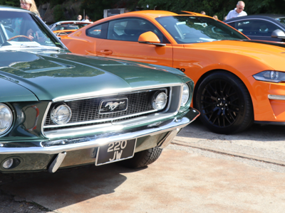 Mustangs Header