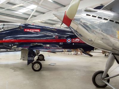 Flight Shed Hawk Header